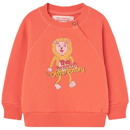 The Animals Observatory Jackal Baby Sweatshirt Salmon | Lyserød | 24 months