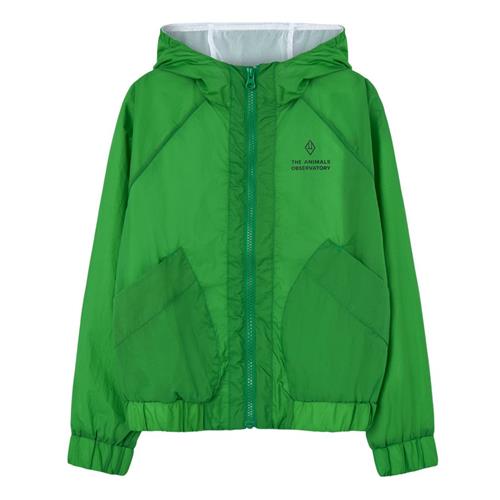 The Animals Observatory Fox Kid Vindjakke Green 12 Y  Grøn  12 år  Unisex