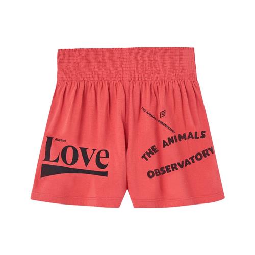 The Animals Observatory Ostrich Kid Shorts Red 3 Y  Rød  3 år  Unisex