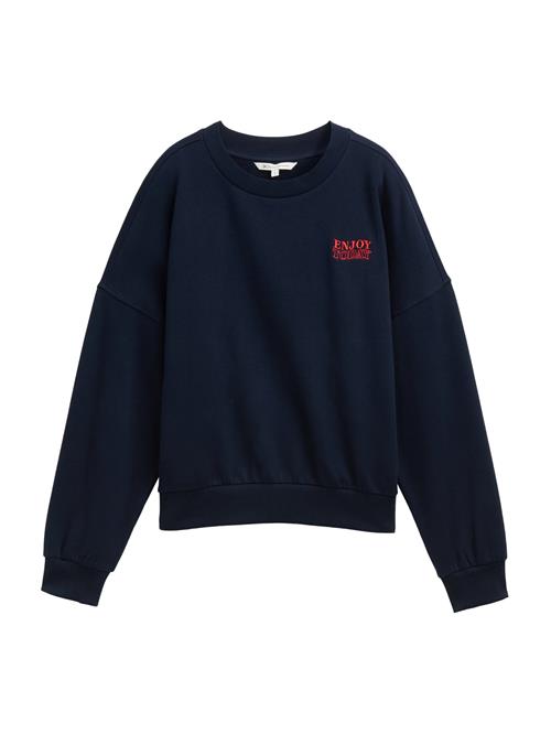 TOM TAILOR DENIM Sweatshirt  navy / rød