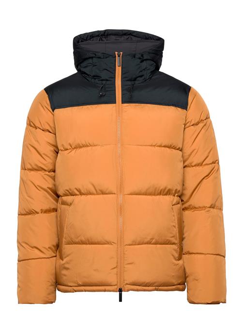 Knowledge Cotton Apparel Repreve  Puffer Color Blocked Jack Knowledge Cotton Apparel Orange