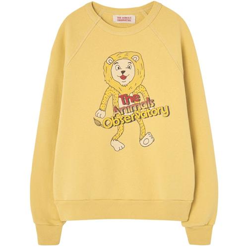 The Animals Observatory Shark Kid Sweatshirt Yellow 3 Y  Gul  3 år  Unisex