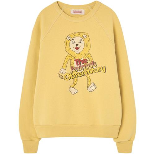 The Animals Observatory Shark Kid Sweatshirt Yellow | Gul | 3 years