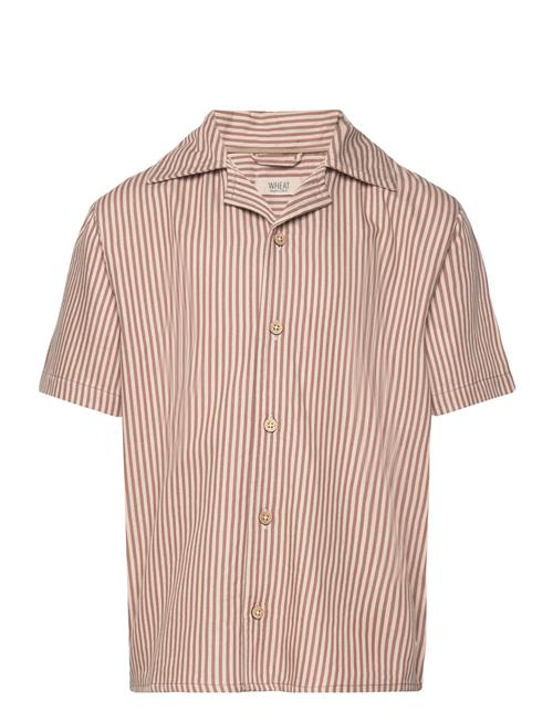 Shirt Anker Ss Wheat Brown