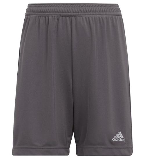 adidas Performance Shorts - Entrada 22 - GrÃ¥