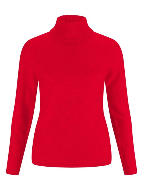 CASH-MERE.CH Pullover  rød