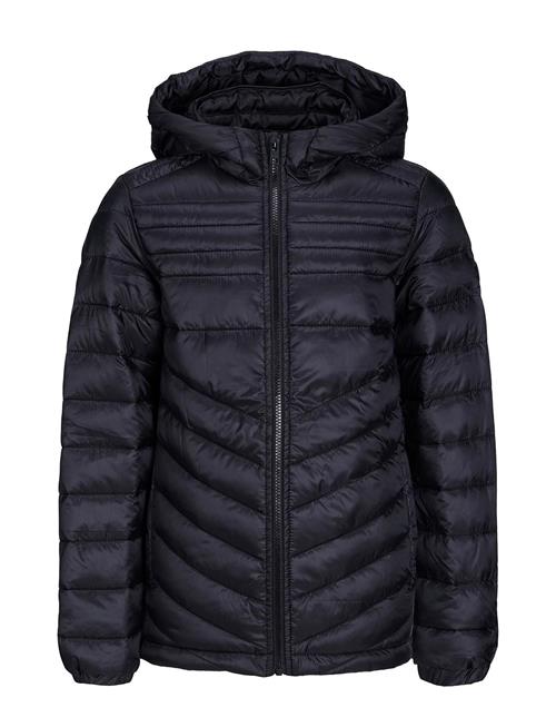 Jack & Jones Jjehero Puffer Hood Noos Jnr Jack & J S Black