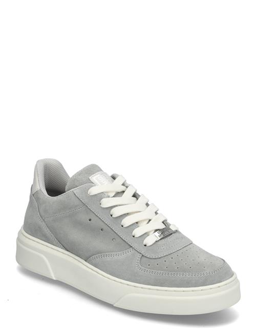 Brent Sneaker Steve Madden Grey