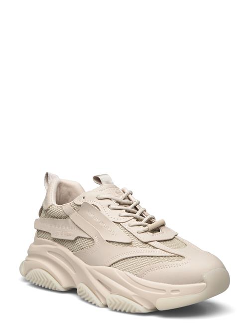 Steve Madden Possess Sneaker Steve Madden Beige