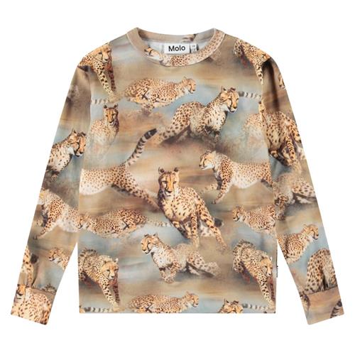 Molo Rill Long-Sleeved T-Shirt Fast Cheetahs | Beige | 152 cm