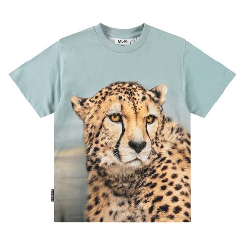 Molo Rubin Short-Sleeved T-Shirt Big Cheetah Blue | Blå | 110 cm