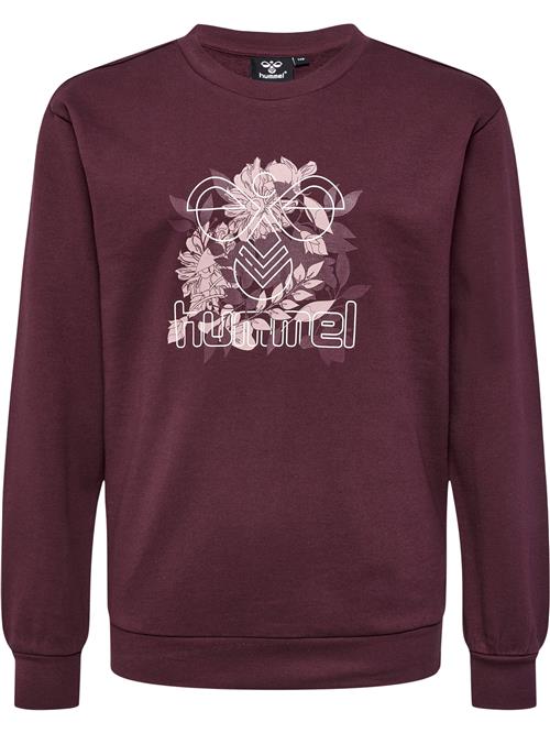 Hummel Sweatshirt  vinrød / hvid