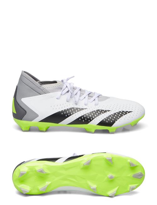 adidas Performance Predator Accuracy.3 Fg Adidas Performance White