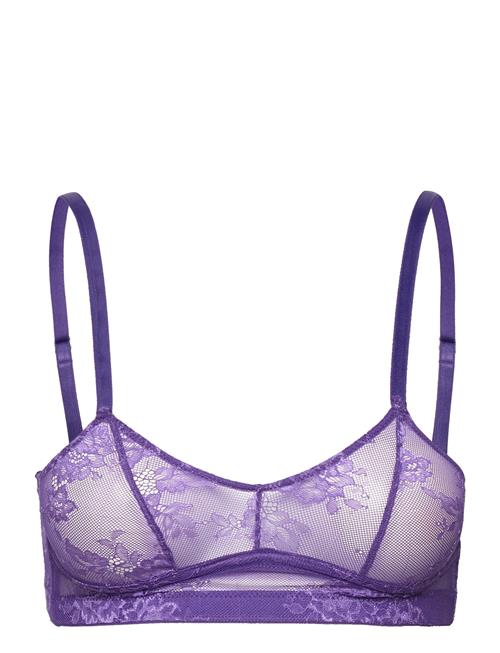 Understatement Underwear Lace Balc Tte Understatement Underwear Purple