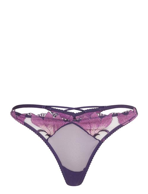 Etam Exaltee - String Etam Purple