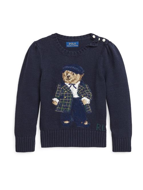 Polo Ralph Lauren Pullover  marin / navy / brun / hvid