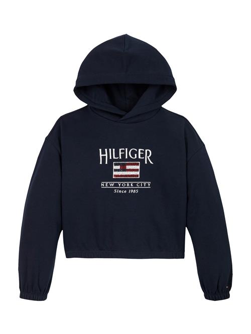 TOMMY HILFIGER Sweatshirt  navy / rubinrød / hvid