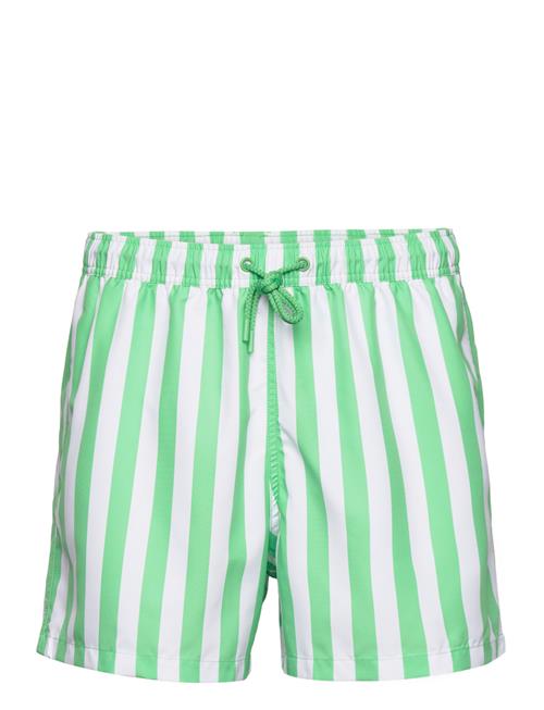 Borg Print Swim Shorts Björn Borg Green