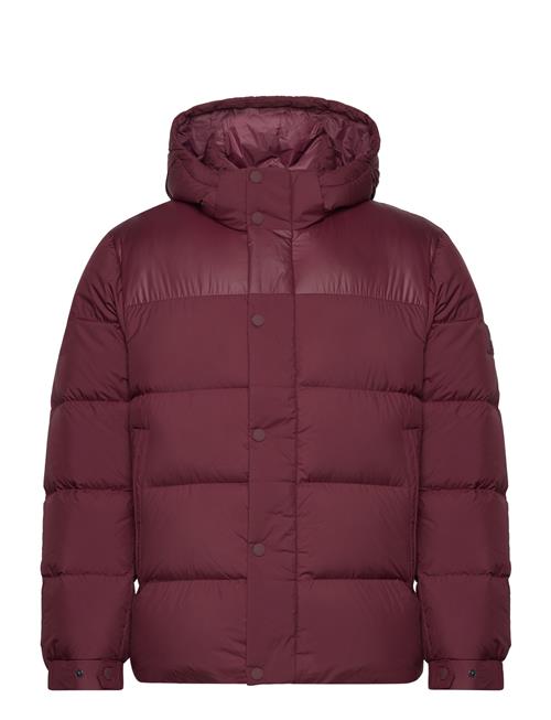 Mix Down Hooded Puffer Jacket Tommy Hilfiger Red