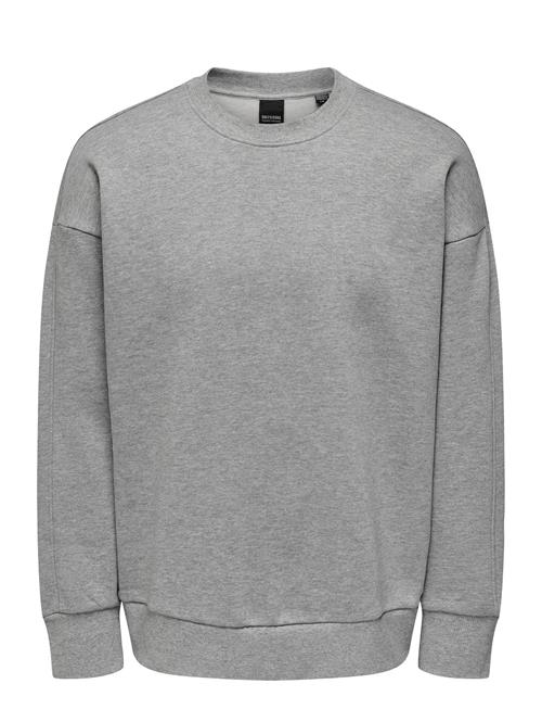 ONLY & SONS Onsdan Life Rlx Heavy Sweat Crew ONLY & SONS Grey