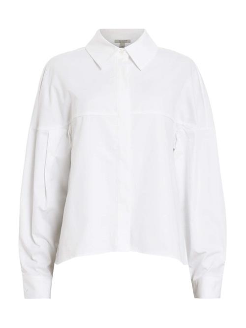 AllSaints Bluse 'TORIA'  hvid