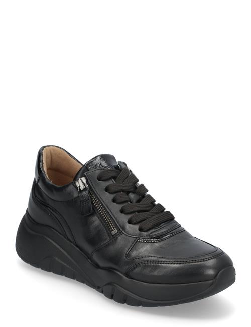 Gabor Sneaker Gabor Black