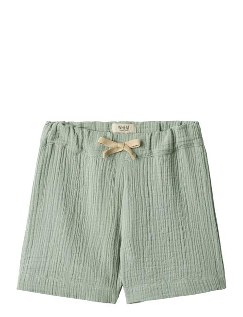 Wheat Shorts Atlasz Wheat Green