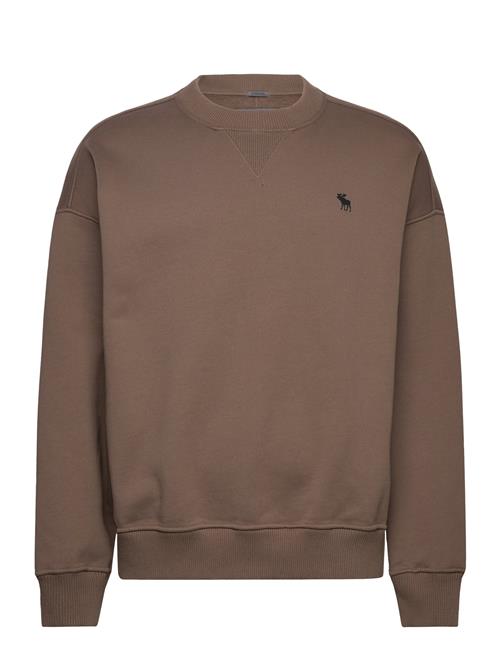 Abercrombie & Fitch Anf Mens Sweatshirts Abercrombie & Fitch Brown