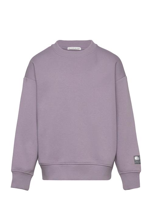 Over Basic Sweatshirt Tom Tailor Purple