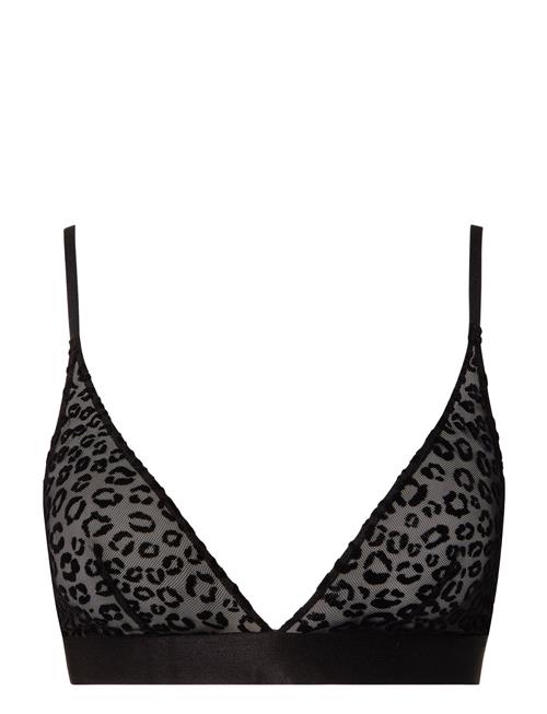 Understatement Underwear Wild Polish Mesh Bralette Understatement Underwear Black