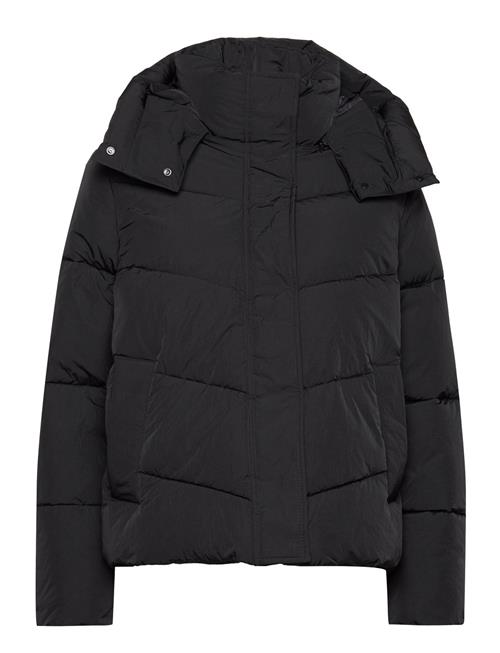 Calvin Klein Modern Padded Jacket Calvin Klein Black