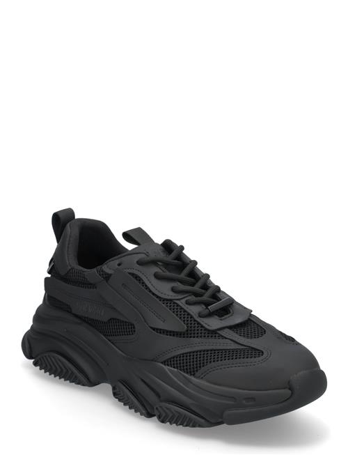 Possess Sneaker Steve Madden Black