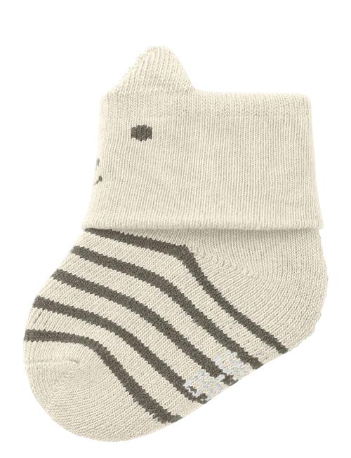 Nbmtoddos Terry Frotte Sock Name It Cream