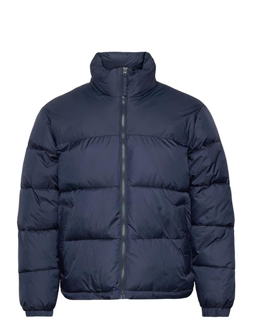 Hollister Hco. Guys Outerwear Hollister Navy