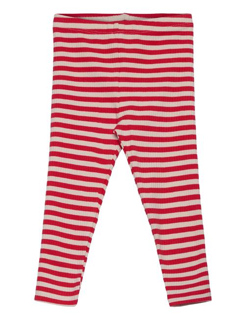 The New Tnstfro Uni Rib Leggings The New Red