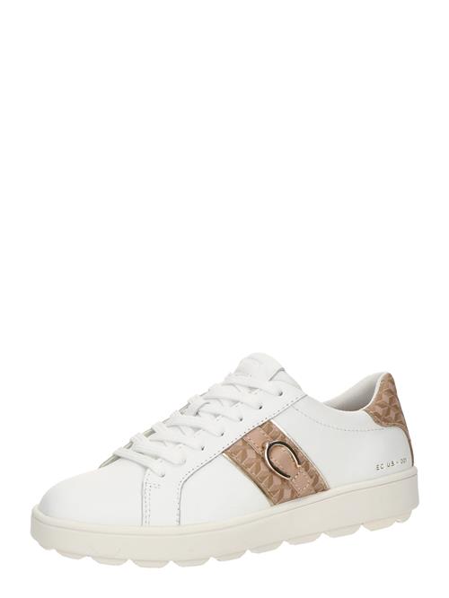 Se GEOX Sneaker low 'SPHERICA ECUB-1'  mørkebeige / lysebrun / hvid ved About You