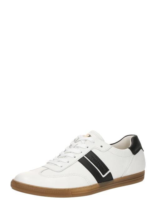 Paul Green Sneaker low  sort / hvid