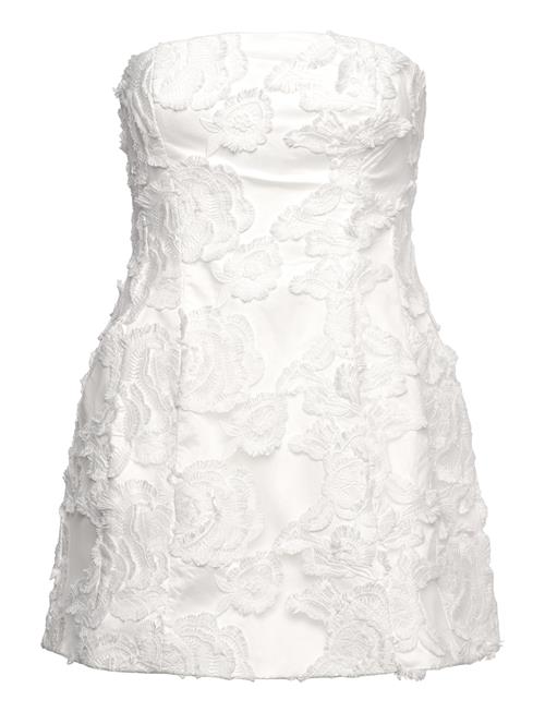 Bardot Karoline Lace Hourglass Dress Bardot White