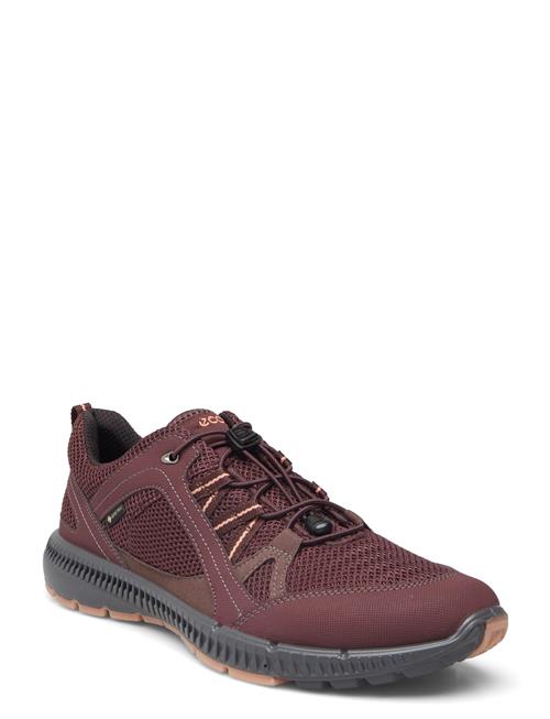 ECCO Terracruise Ii W ECCO Brown