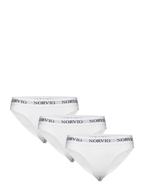 NORVIG 3-Pack Womens Bikini Brief NORVIG White