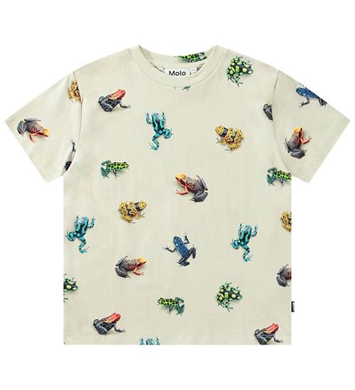 Molo T-shirt - Roxo - Vibrant Frogs