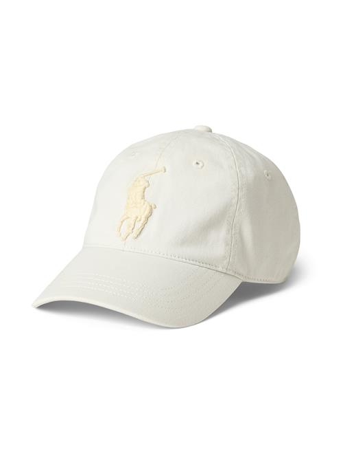 Polo Ralph Lauren Hætte  creme / mørkebrun