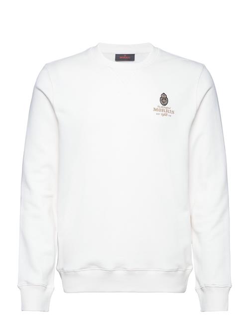 Carter Sweatshirt Morris White