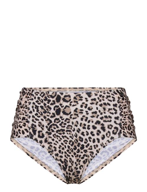 Panos Emporio Pe Leopard Olympia Btm Panos Emporio Brown