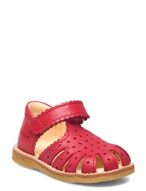 Sandals - Flat - Closed Toe - ANGULUS Red