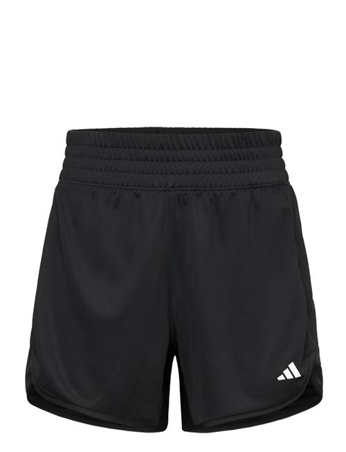 adidas Performance Pacer Knit High Adidas Performance Black