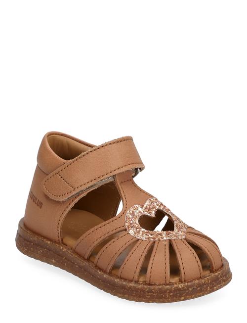 ANGULUS Sandals - Flat - Closed Toe - ANGULUS Brown