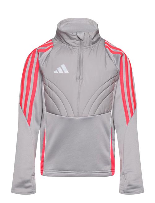 Tiro24 Wintopy Adidas Performance Grey