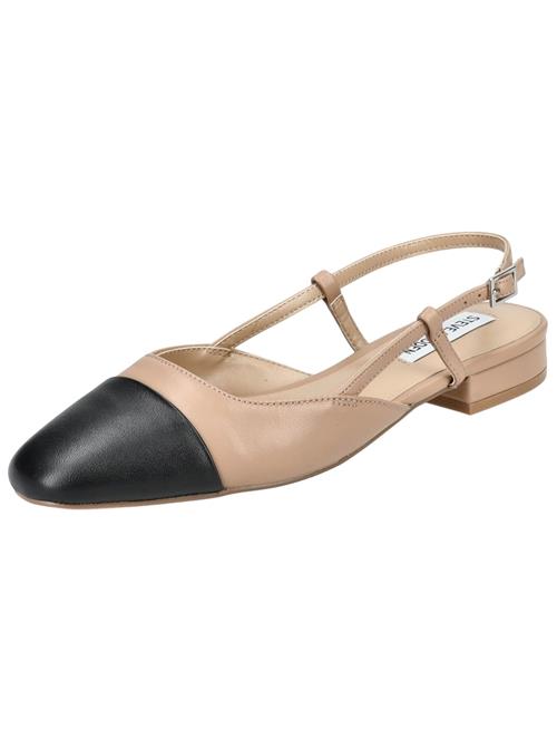 STEVE MADDEN Ballerinasko med rem 'BELINDA'  brun / sort