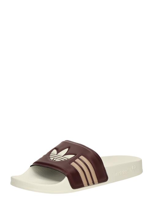 ADIDAS ORIGINALS Pantoletter 'Adilette'  mørkebeige / vinrød / naturhvid